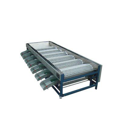 Two Types to Choose Blueberry Sorting Machine/Blueberry Sorter/Blueberry Grading Machine
