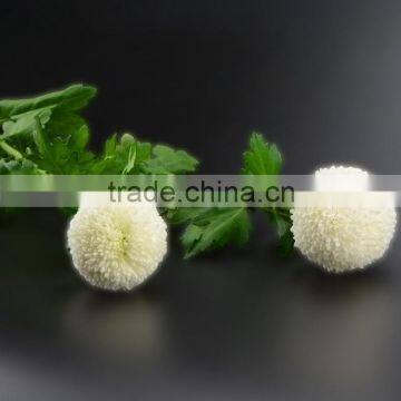 High grade hot selling most popular china chrysanthemum