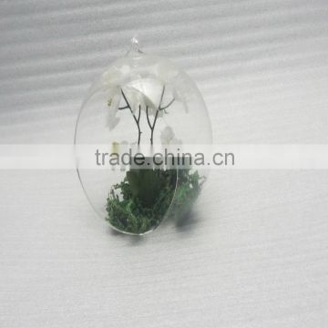 New Arrival Borosilicate Glass Hanging Vase & Tabletop Vases Wedding Decor Supplies Transparent Diameter 6cm 10 cm