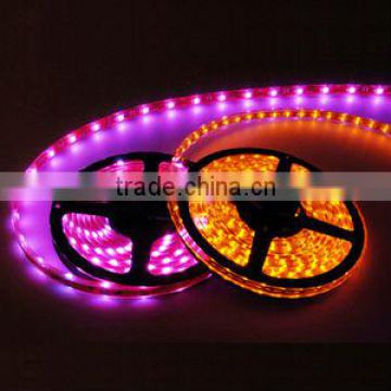 IP65 SMD 5050 LED flexible strip