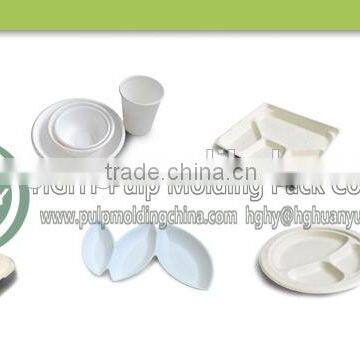Biodegradable Sugarcane Fiber Paper Tableware Machine by HGHY photo-5
