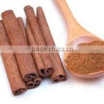Split, Powder, Tube, Broken Cassia/ Cinnamon Vietnam For Bangladesh Market photo-5