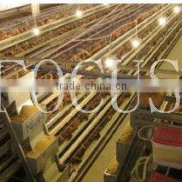2013 most poplular H layer cages feeding system for layer farming house