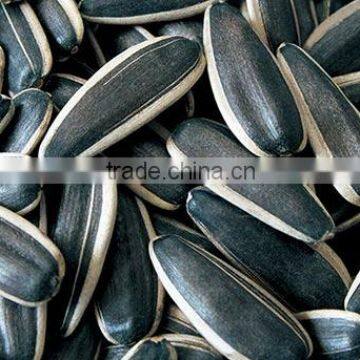 Favorable price of Sunflower Seeds