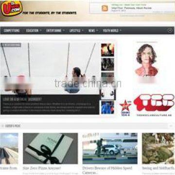 Best Website Design/ Mobile Website Design/Wordpress Website Design photo-2