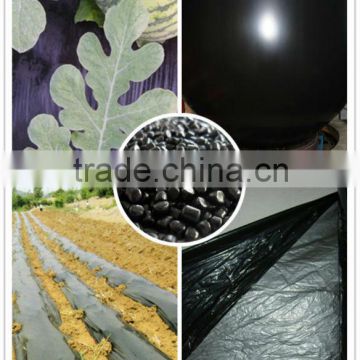 Black mulch and agriculture film