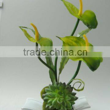 new arrival art potted flower anthurium