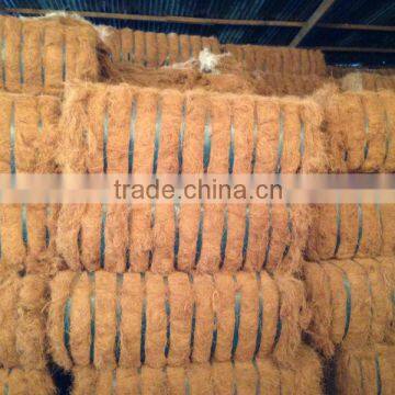 Coconut Fiber 2016 in Vietnam (qq : 2598494113) photo-5
