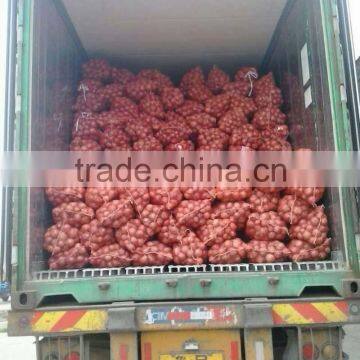 Superior Fresh Red Onion From Onion Exporters China