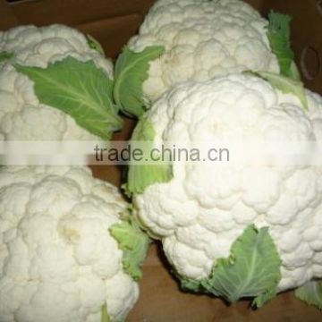 Cauliflower