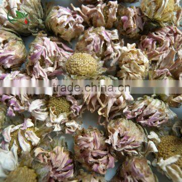 Organic Dried Purple Chrysanthemum Herbal Tea photo-2