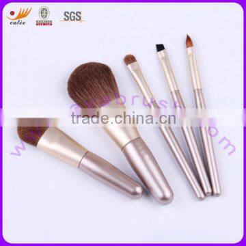 New Fashion 5pcs Mini Brush Set with Synthetic Hair,Ideal for Promotion