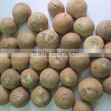 VIET NAM Dried Betel Nut