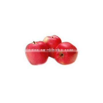 red star apple