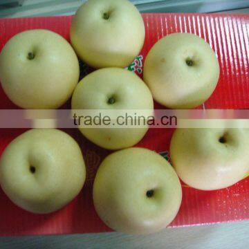 Chinese Golden Pear 9kg 18kg Carton photo-5