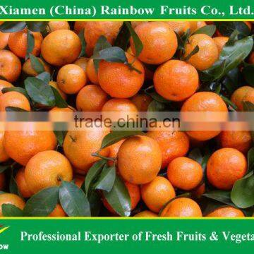 Shatang Mandarin