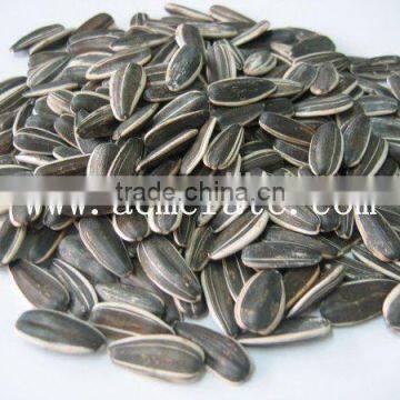 Natural Brand Sunflower Seeds On Sale