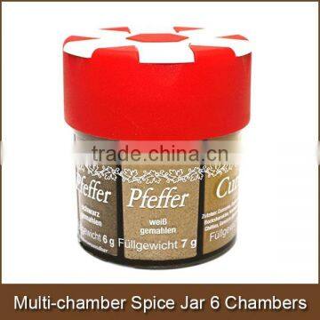 Multi Chamber Spice Jar-6 condiment Assortment