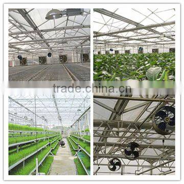 JINLONG Air Circulation Fan Greenhouse,circulation Fan Small for Sale photo-4