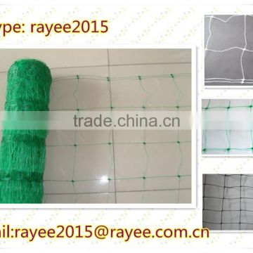 bop netting /plant support netting/plastic net /fagioli e piselli rete