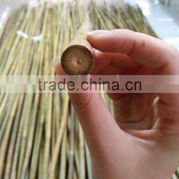 WY-212 Flexiable coated dry raw garden tonkin bamboo canes for sale