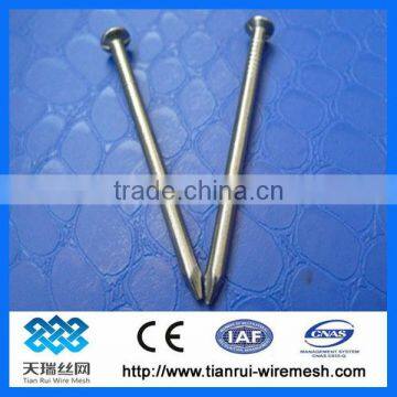 Bright Electro Galvanized Concrete Iron Nails