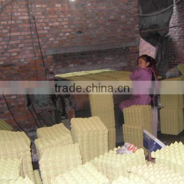 Chinese standred 30 holes pulp egg trays