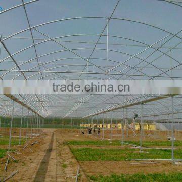 Plastic Film Covered Greenhouse For Mushroom&Roses photo-2