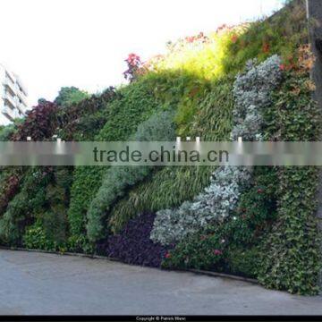 Factory Price Plastic Plant Wall Artificial Vertical Greening Wall photo-4