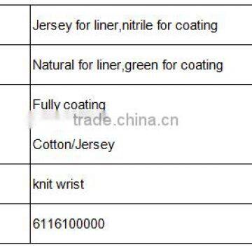 DDSAFETY Hot Sale Green Nitrile Glove Making Machine photo-4