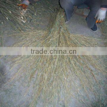 High quality wooden/bamboo broom