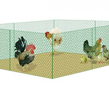 Chicken Wire Netting Hexagonal Wire Netting Poultry Mesh photo-3
