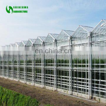 Venlo Glass Greenhouse For Hydroponic Growing System