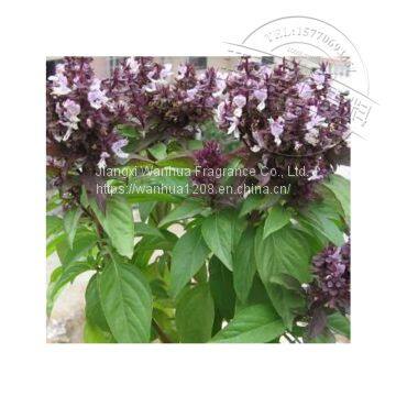 Factory Supply of Lilac Raul Oil Quality Lilac Raul Oil Wholesale