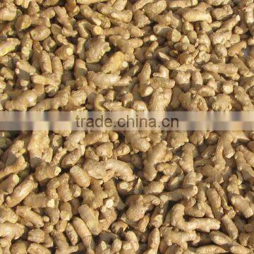 organic dried ginger manufacturer