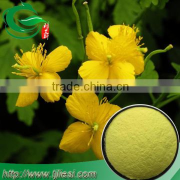 Celandine Extract