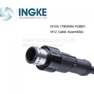 INGKE,M12A-17BMMM-PL8B01,M12 Cable Assemblies,Sensor Cables / Actuator Cables