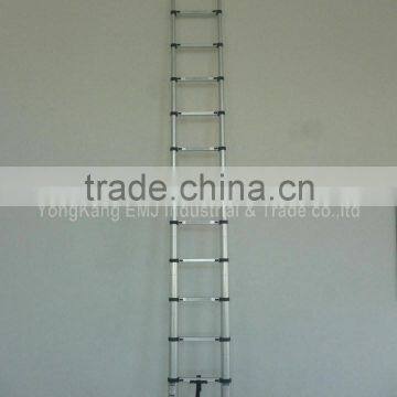3.2m Single Telescopic Ladder photo-3