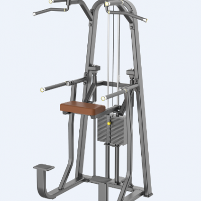 CM-920 dip/chin assist home gym workout equipment