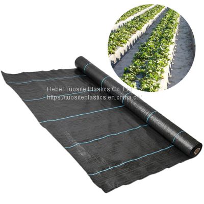 Weed Barrier Landscape Fabric Heavy Duty Uv Treated Plastic Weed Barrier Fabric With Pegs