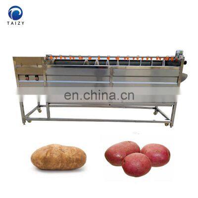 Continuous Carrot Ginger Konjac Porang Taro Peeling Machine Potato Washing Machine