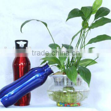 Stainless Steel Water Bottle photo-2