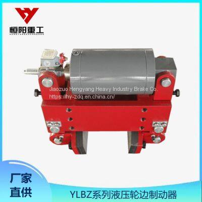 YLBZ40-150 Hydraulic Wheel Side Brake Hengyang Heavy Industry Hydraulic Cylinder with Excellent Performance