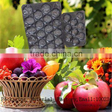 Professional Manufacturer Fresh Vegetable Plastic Packing Tray/fruit Plastic Packaging Tray photo-3