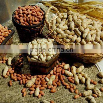 PEANUT KERNELS 24/28