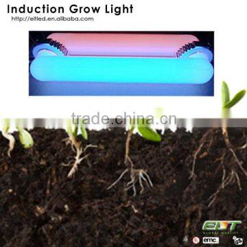 grow light item type induction lamps and 1200w led grow lights