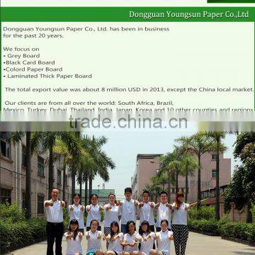 1.2mm Duplex Board Grey Back Dongguan Grey Board photo-6