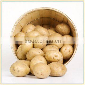 easy to operate high quality potato sliced machine