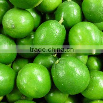 FRESH SEEDLESS LEMON WITH BEST PRICE