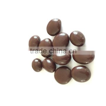 Organic Dried Goldenberry Covered in Organic Chocolate